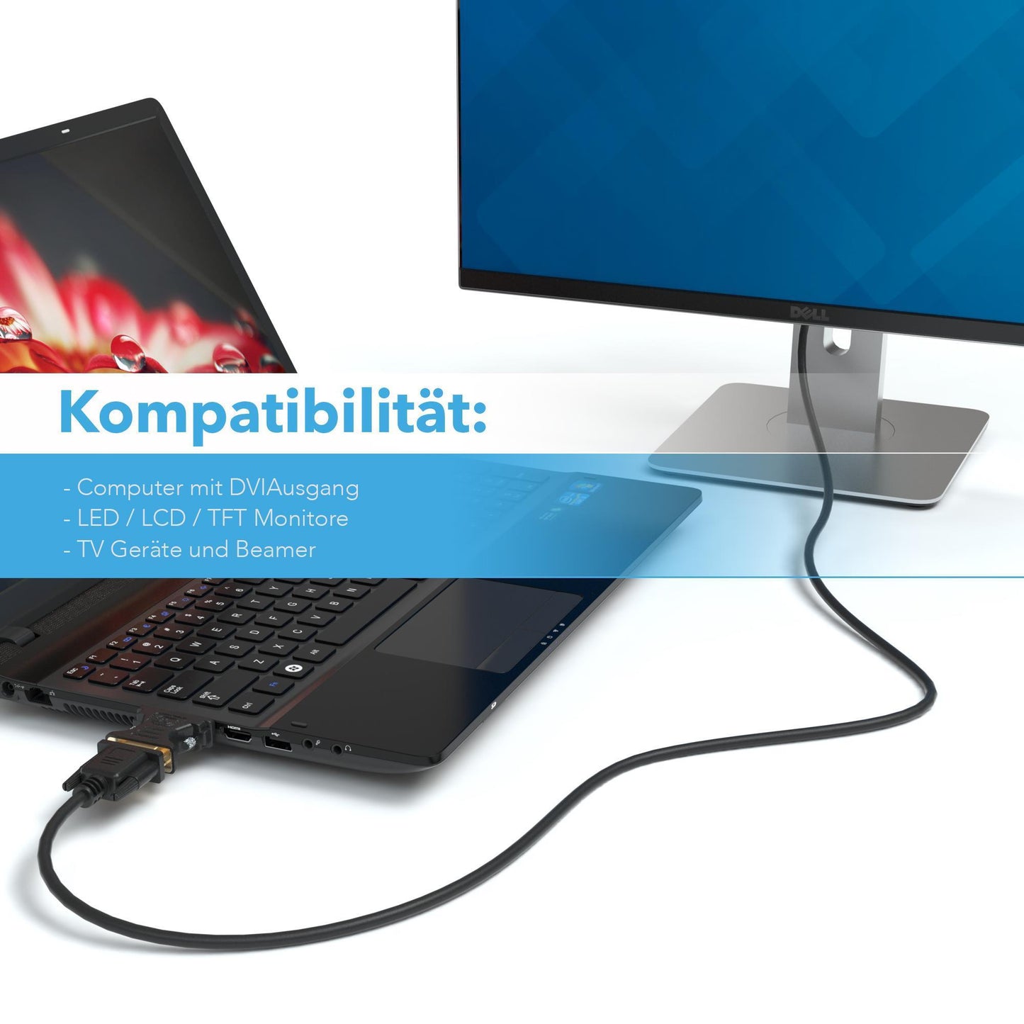 VGA Buchse zu DVI 24+5 Stecker