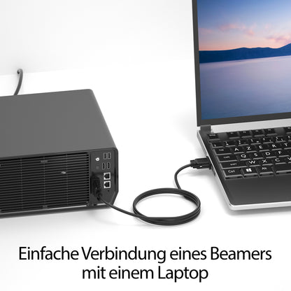 VGA zu VGA Kabel - Variation "eBW"