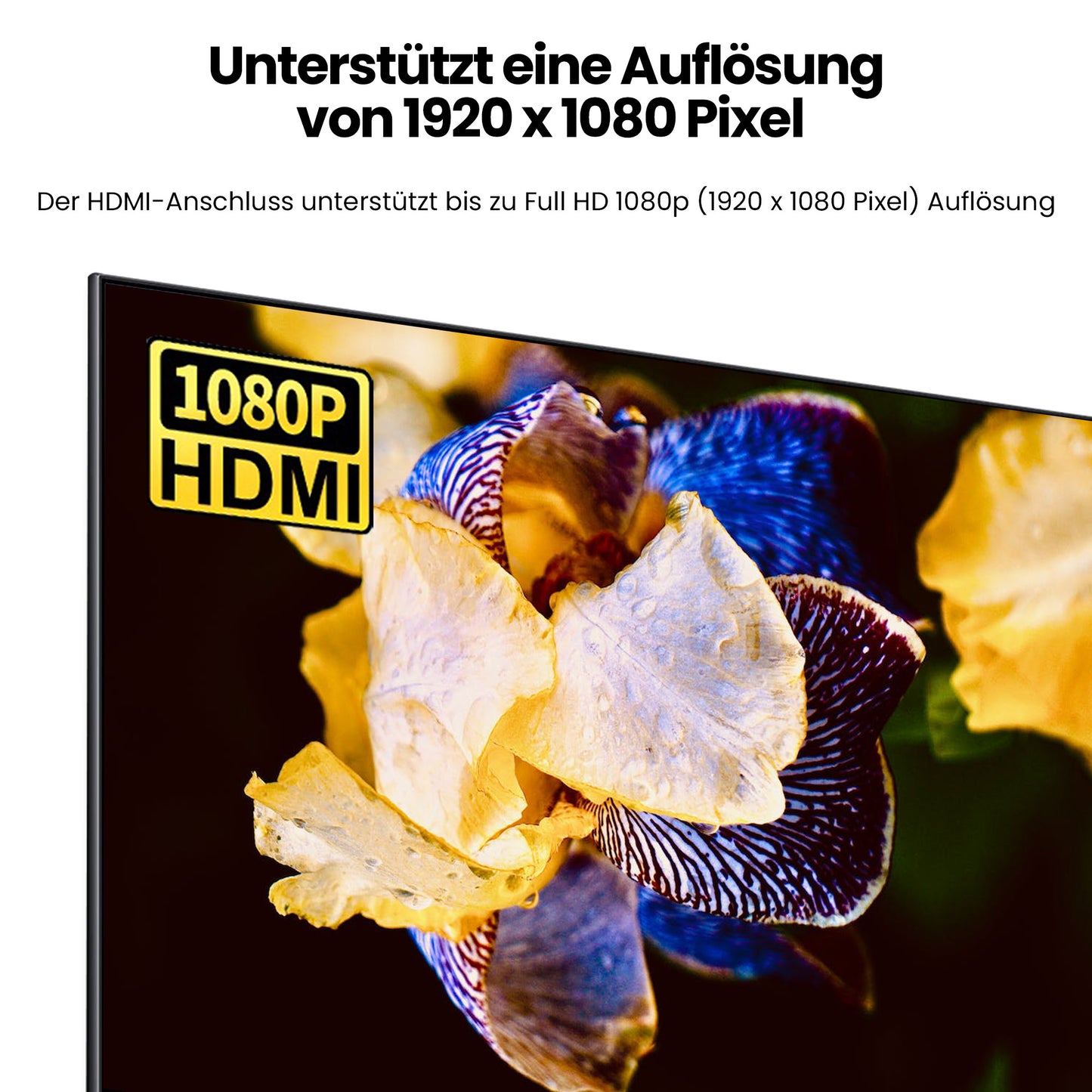 HDMI auf VGA Kabel - Variation
