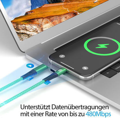 USB-C - Lightning Kabel Grün