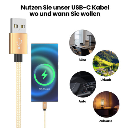 USB-C - USB A | Nylon + Metal Shell | *NEW MODEL* - Gold - Variante "eBW"