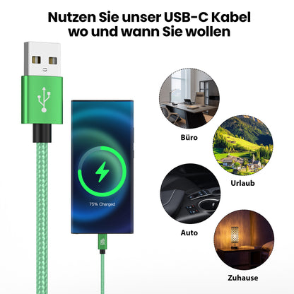 USB-C Kabel Grün